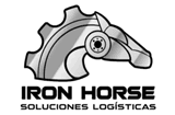 Iron
